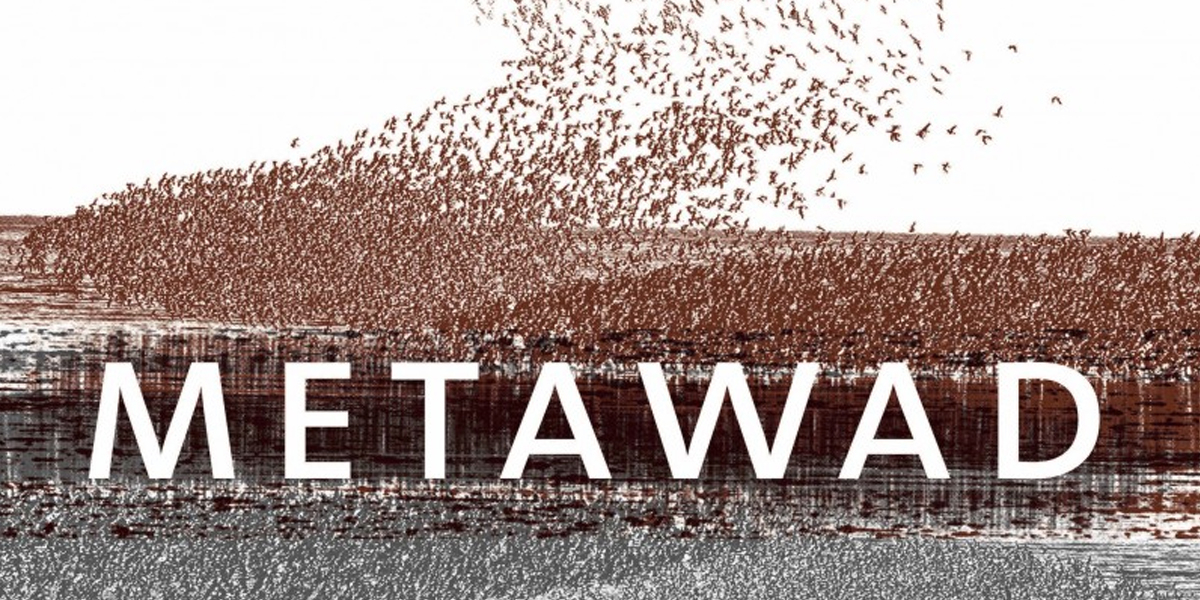 Long-term research programmes on red knots, bar-tailed godwits, sanderling and Eurasian spoonbills. Long-term research programmes on red knots, bar-tailed godwits, sanderling and Eurasian spoonbills.