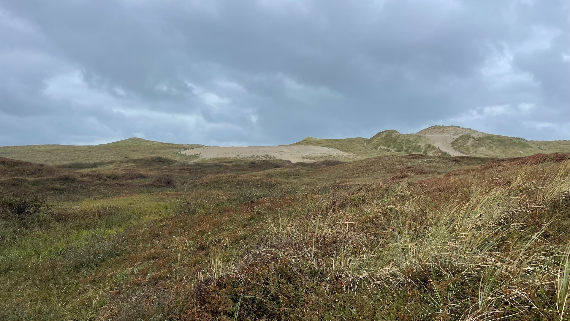 Foto van de kerflocatie gemaakt door M Houtman op 6 oktober 2025
