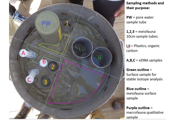 Box core with samples. Photo NIOZ