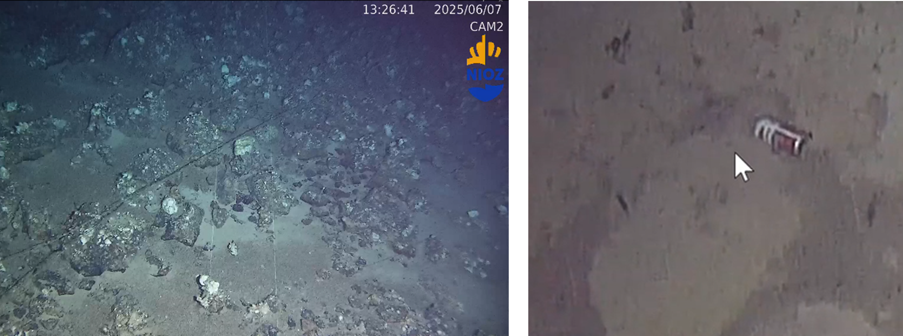 Fishing ropes found in Gettysburg Seamount (left panel); A bottle on the seafloor, highlighted by an arrow. (right panel)