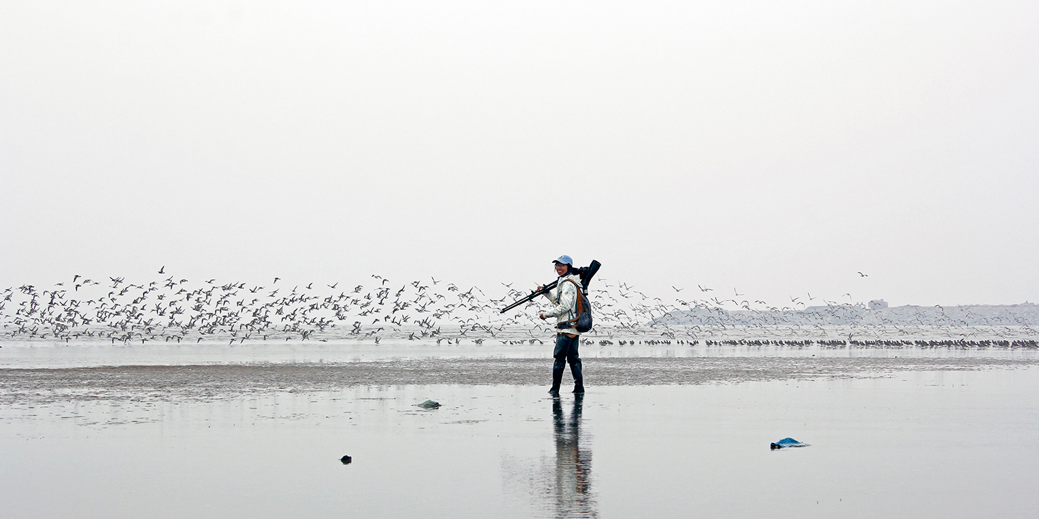 Chi Chan tijdens veldwerk op het wad van de Gele Zee.