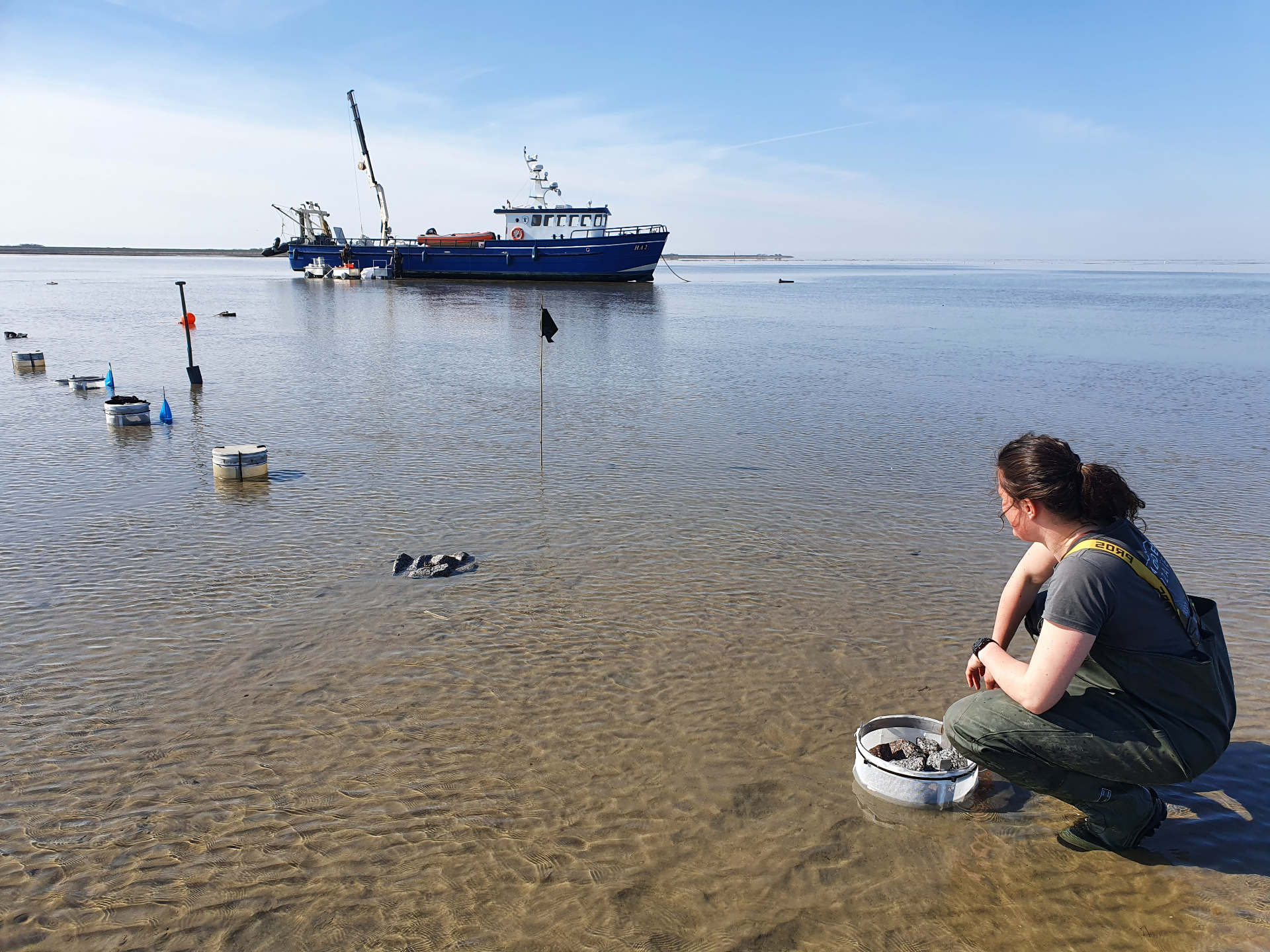 Wadden Mosaic researcher Sterre Witte at the cage experiment. The aim of this experiment was to determine the influence of predators such as crabs and starfish on the settlement chances of mussels, among others, on hard substrate.