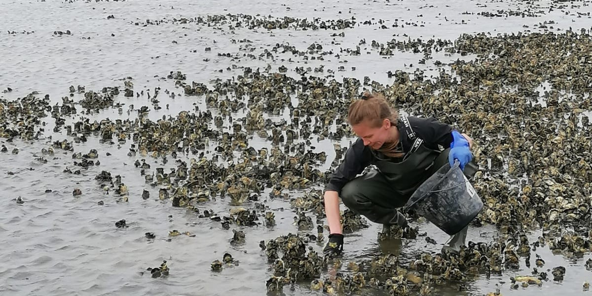 Rosa doing fieldwork