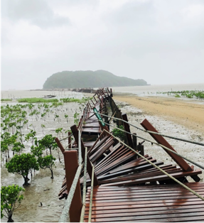 The paper 'Predicting nature-based coastal protection by mangroves under extreme waves'was published in PNAS, March 2025 (photo: Zhan Hu)