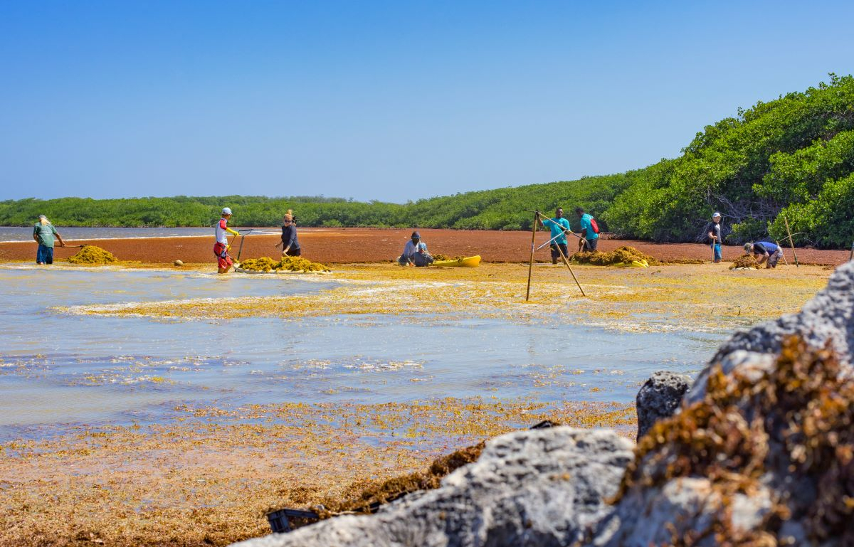 Kralendijk, Bonaire - Photo by Shutterstock/StephanKogelman