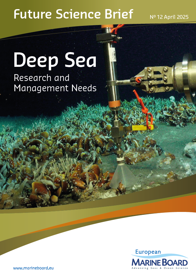 Read the full Future Science Brief on Deep sea research and management