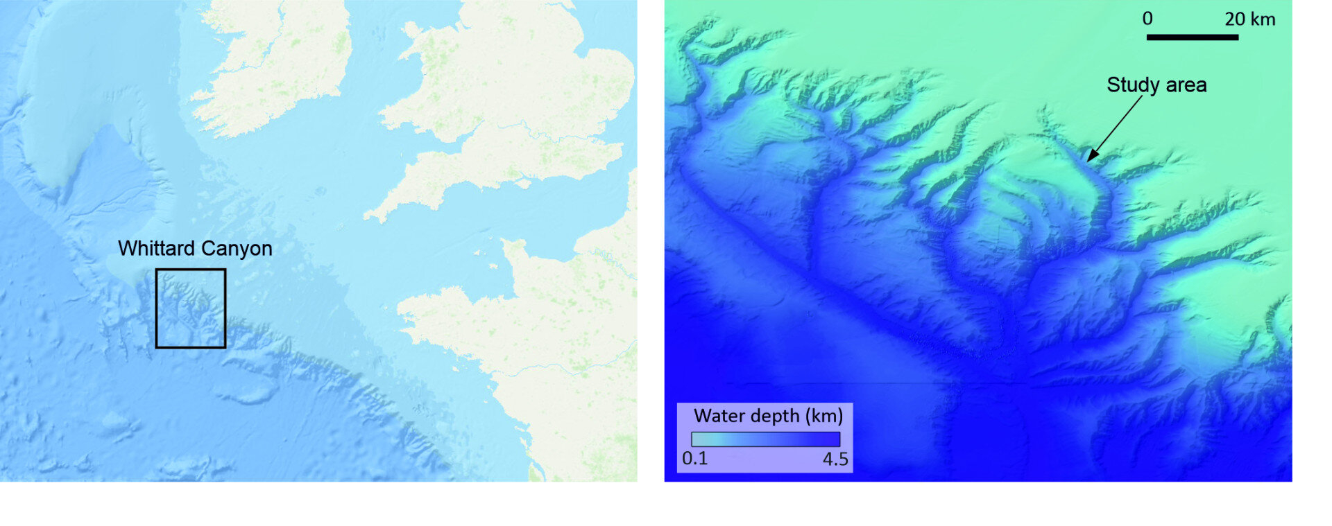 Credit: Environmental Science & Technology (2025). DOI: 10.1021/acs.est.4c12007