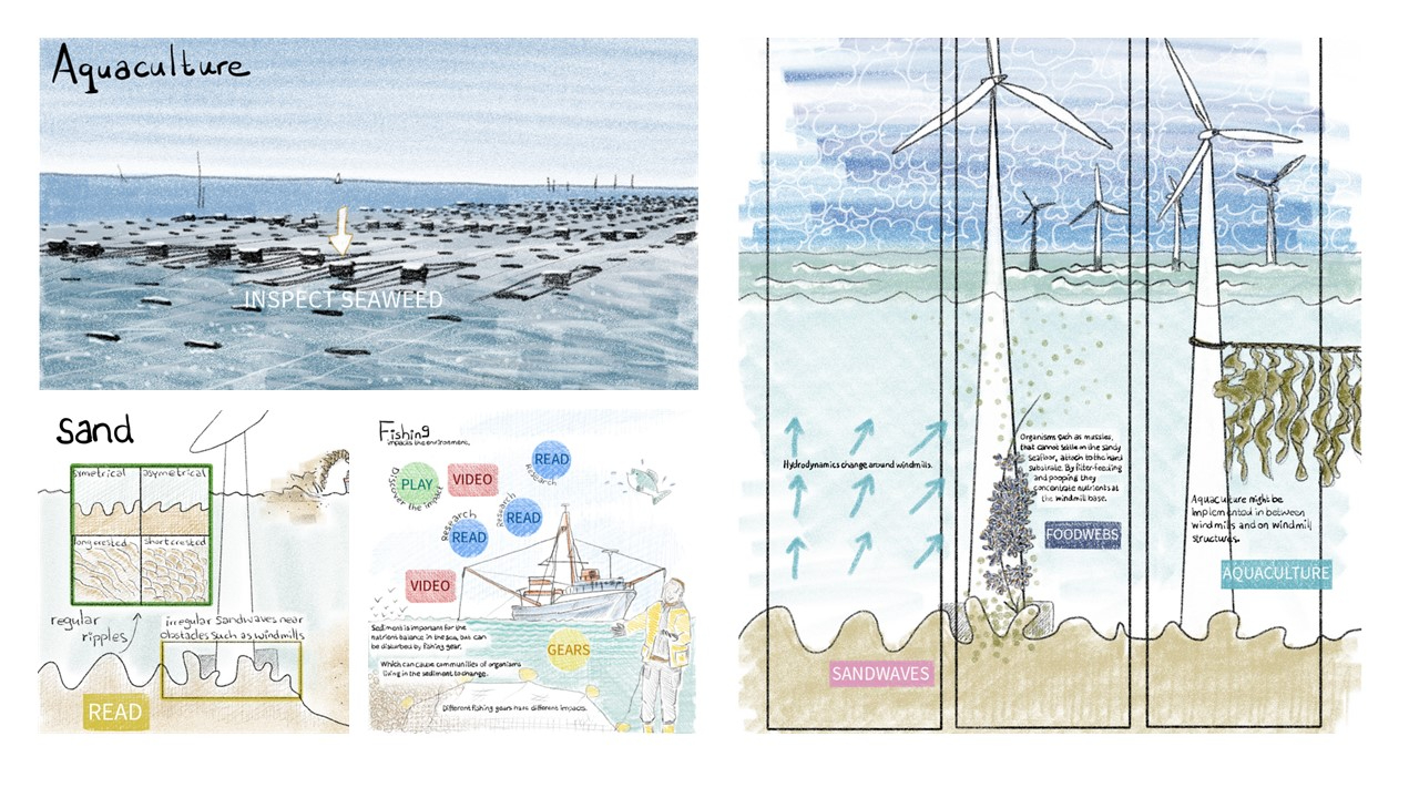 infographics of recent research in the Northsea (from www.northsea-research.com)