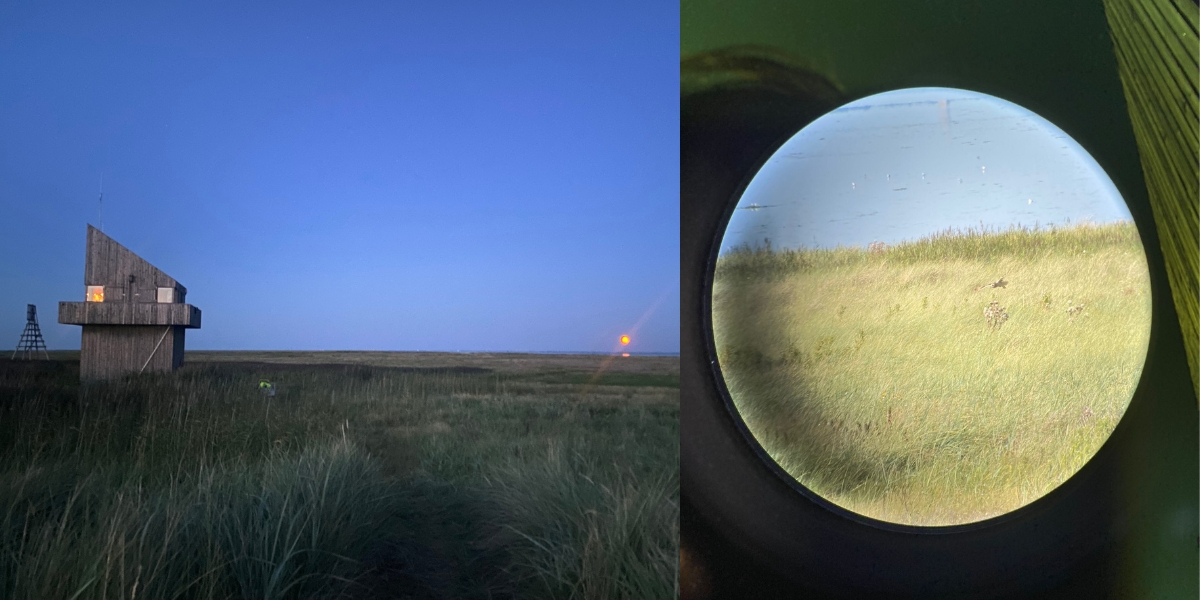 Left: The house and the beacon on Griend at dusk. Right: The short-eared owl on the hunt, photographed through the lense of the telescope. (Photo: Nienke Zwaferink)