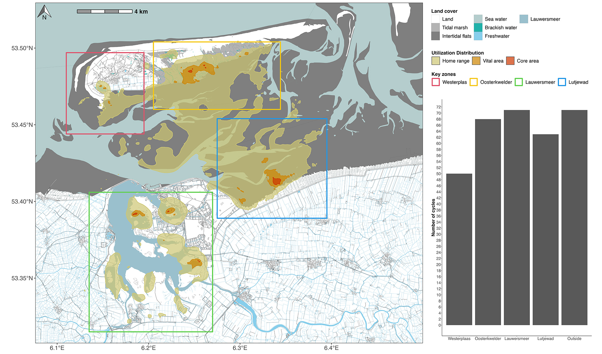 Map that shows the four areas where spoonbills stay in the eastern Wadden area