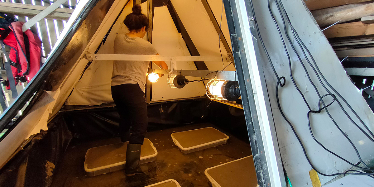 Selin preparing the experimental unit