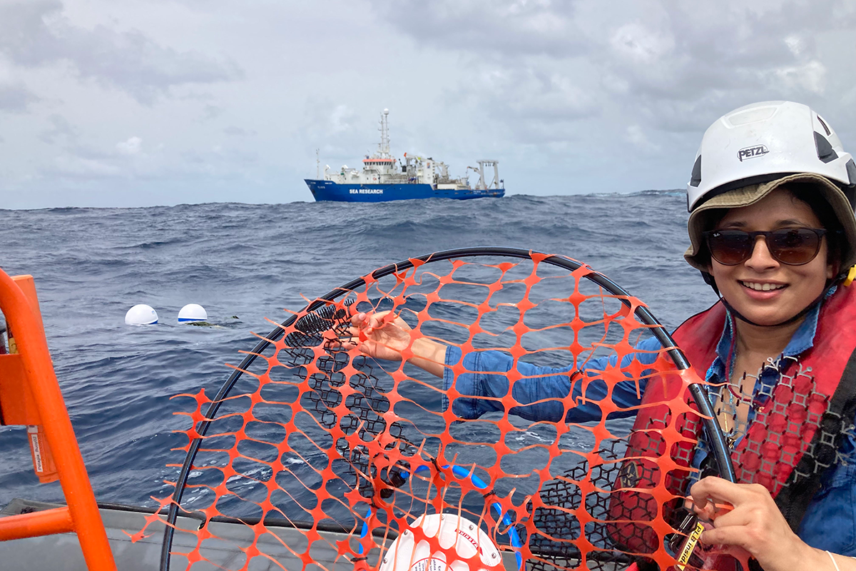 Darshika Manral is ready to release the Sargassum drifter: the MetOcean Stokes drifter (white disc in the foreground) encapsulated in a net designed to attach itself to floating Sargassum and drift with it. (Photo: Erik Zettler)