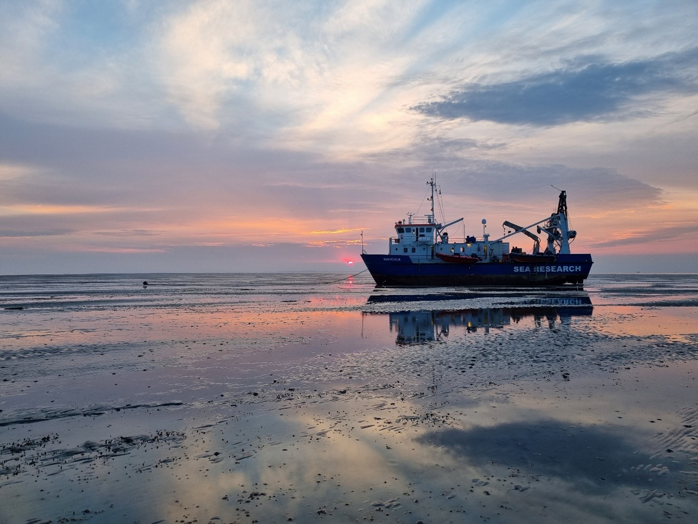 De Navicula. Foto: Evy Gobbens