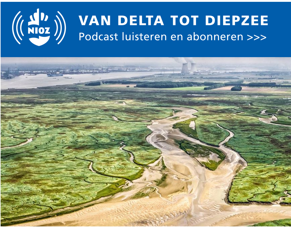 NIOZ podcast #12: De zee als bondgenoot bij kustbescherming. Met Tjeerd Bouma. Foto 'Saeftinghe'van Edwin Paree. NIOZ podcast #12: De zee als bondgenoot bij kustbescherming. Met Tjeerd Bouma. Foto 'Saeftinghe'van Edwin Paree.