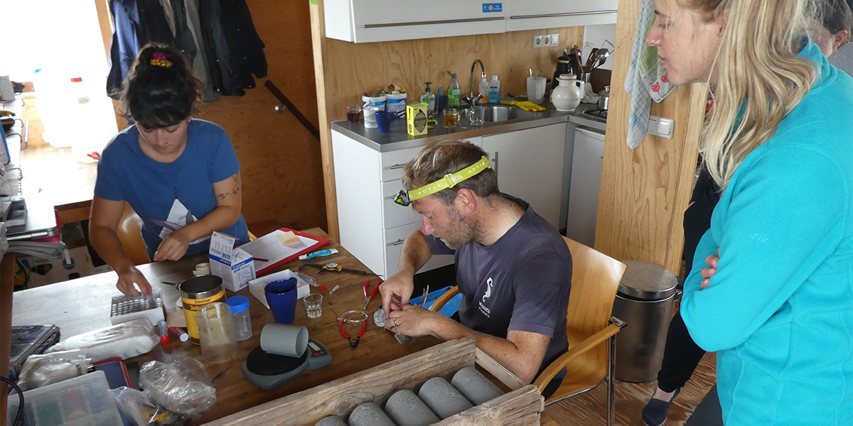 Processing the birds