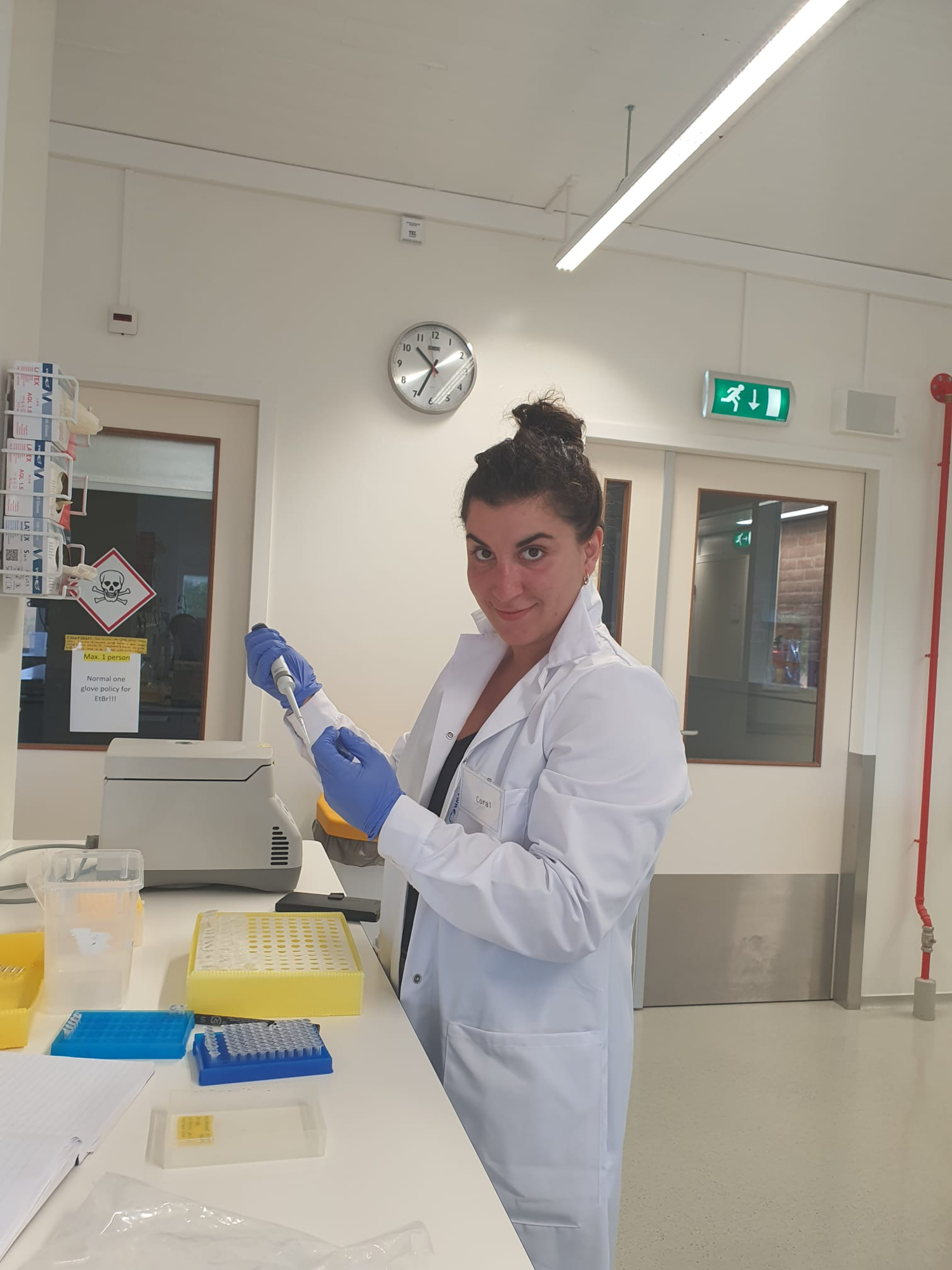 Genomic library construction in the marine microbiology and biogeochemistry lab at the NIOZ. Photographer: Dr. Swan Sow