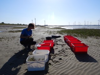 Clea while setting up an experiment. 