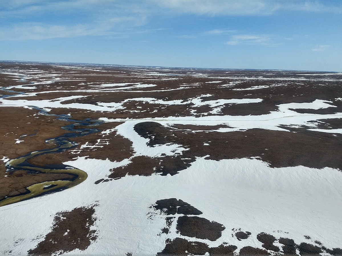 6 June 2019 A ‘helicopter view’ on Taimyr: already quite some snow has melted – will the team be in time to await the birds?