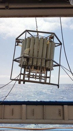 The Rosette coming out of the water