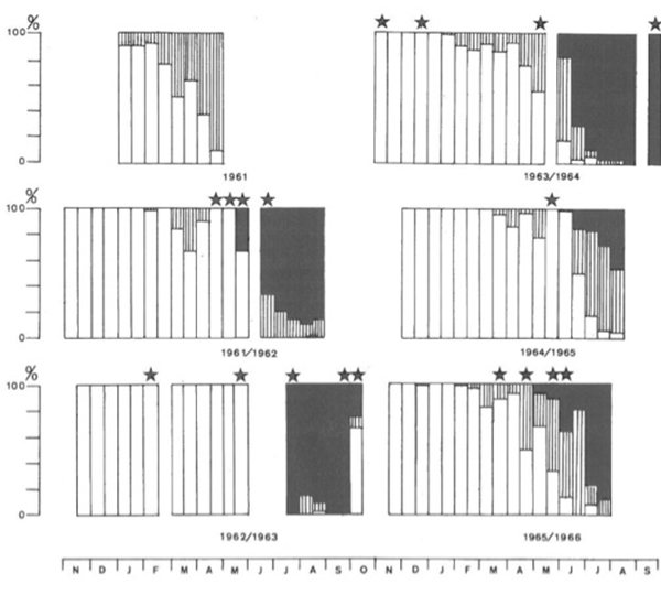 Figure: <i>Cyanea lamarckii</i> colour variation in catches 1961-1966. Source: Van der Baan S.M. 1980 