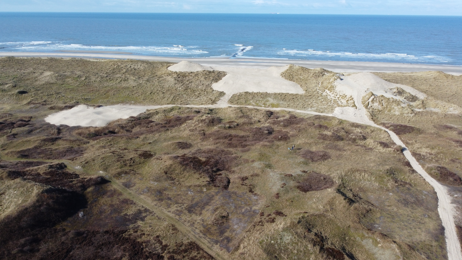 Overzichtsfoto van het gebied rond Paadje14, gemaakt op 28 februari 2025. In het midden de net aangelegde kerf.