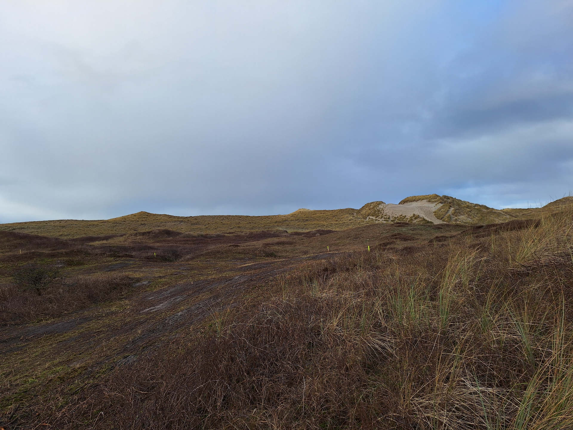Foto van de kerflocatie gemaakt door R Westra op 1 december 2024