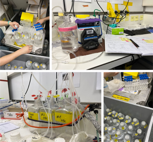 Set up for metabolomics (Photo: Gian Lu Dado)