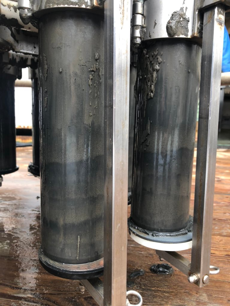 Reward for hard labour. Beautiful cores to analyse. Photo: Francien Peterse