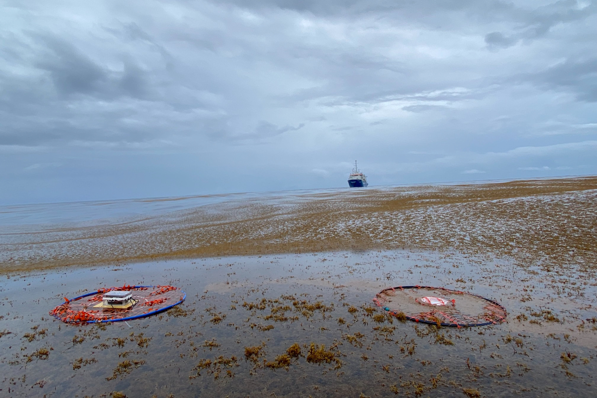 A Chase Drifter (left) deployed in a Sargassum patch next to a MetOcean Drifter (right) with the RV Pelagia in the background (Photo Credit:  Darshika Manral). 
