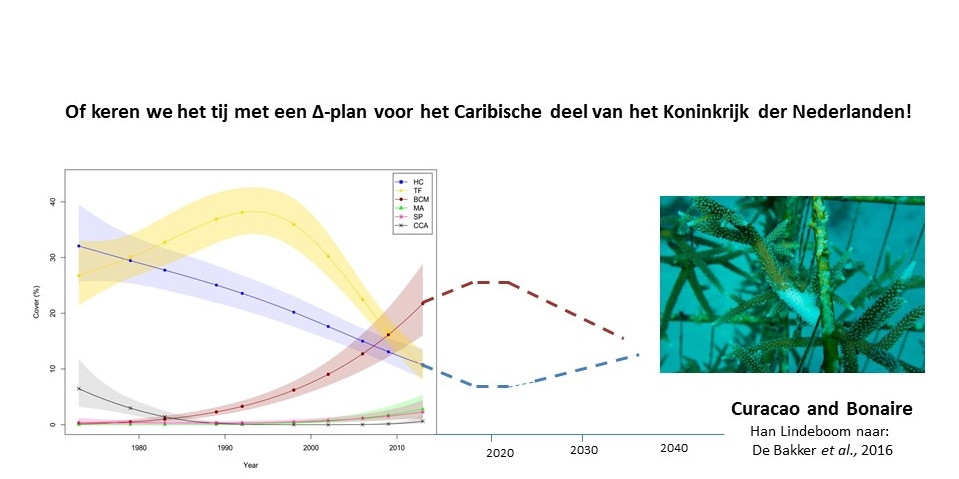 Of gaan we voor herstel?