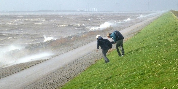 Wandelaars op de dijk van de Noordoostpolder - CC: Frans Neve