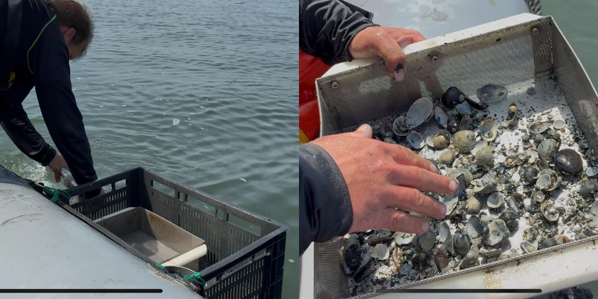 Left: Dennis sifting. Right: Dennis sifts through the sample he has taken, searching for live shells. (Photo: Suzan de Wit)