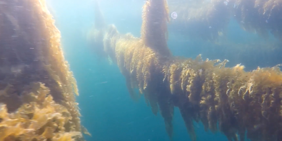 YouTube video Alexander Ebbing. YouTube video Alexander Ebbing.