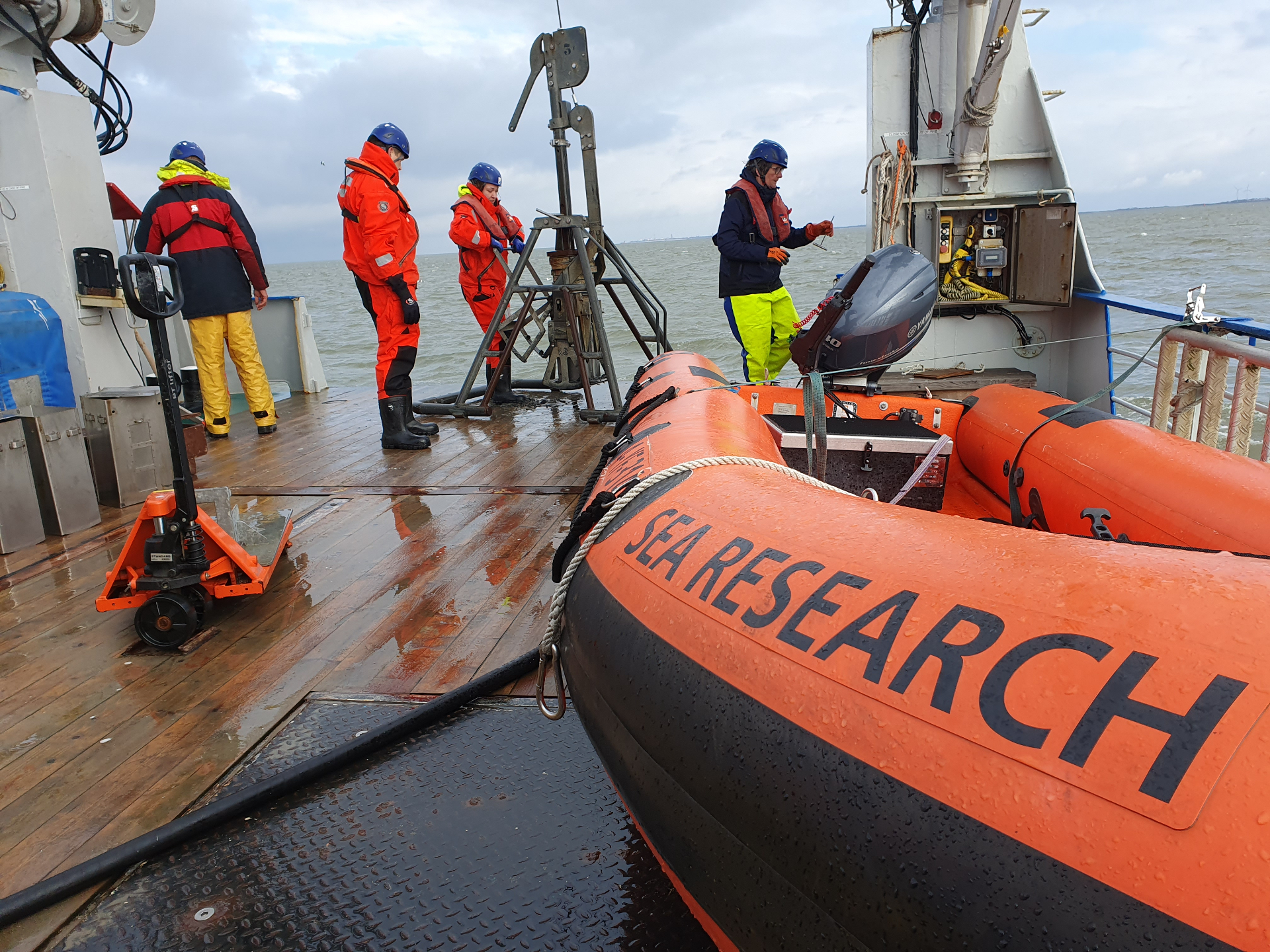 Waddenmozaiek sampling - Oscar Franken