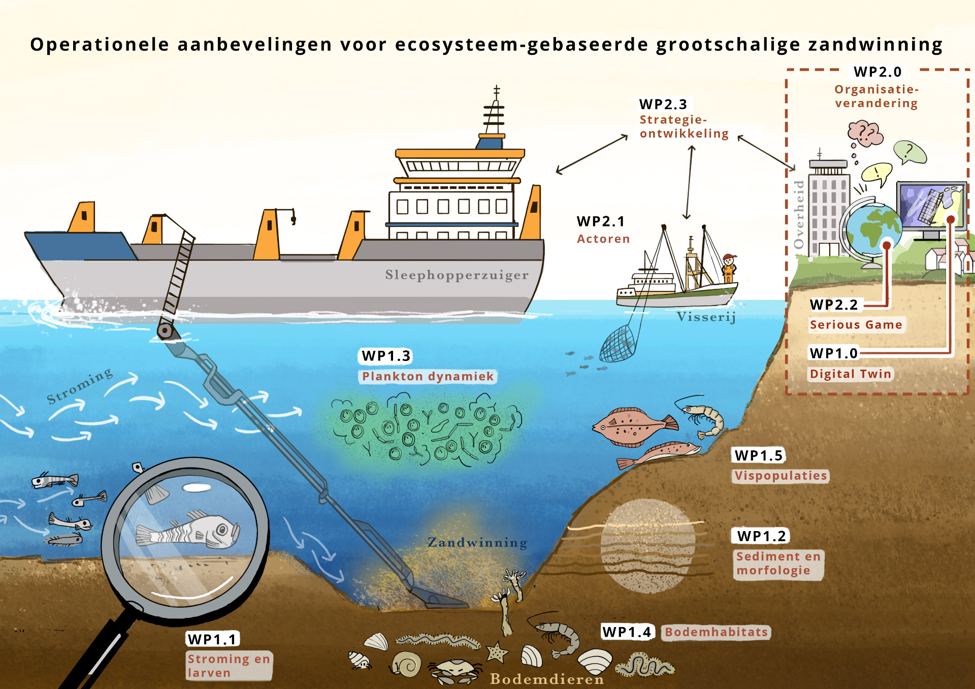 Projectoverzicht onderzoek ecologische effecten zandwinning
