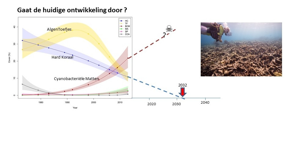 Waargenomen lange termijn trends (De Bakker et al, 2016) en extrapolatie van de ontwikkelingen van steenkoralen, algen en cyanobacteriën. 