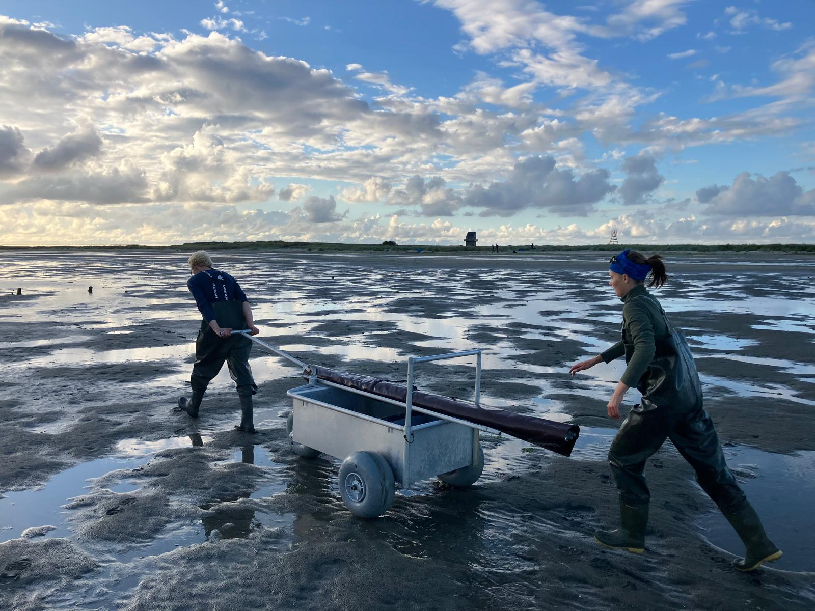 Cornelis Dekinga en Jet Carabain trekken een kar vol spullen om netten te bouwen op het wad (Johannes Krietsch)