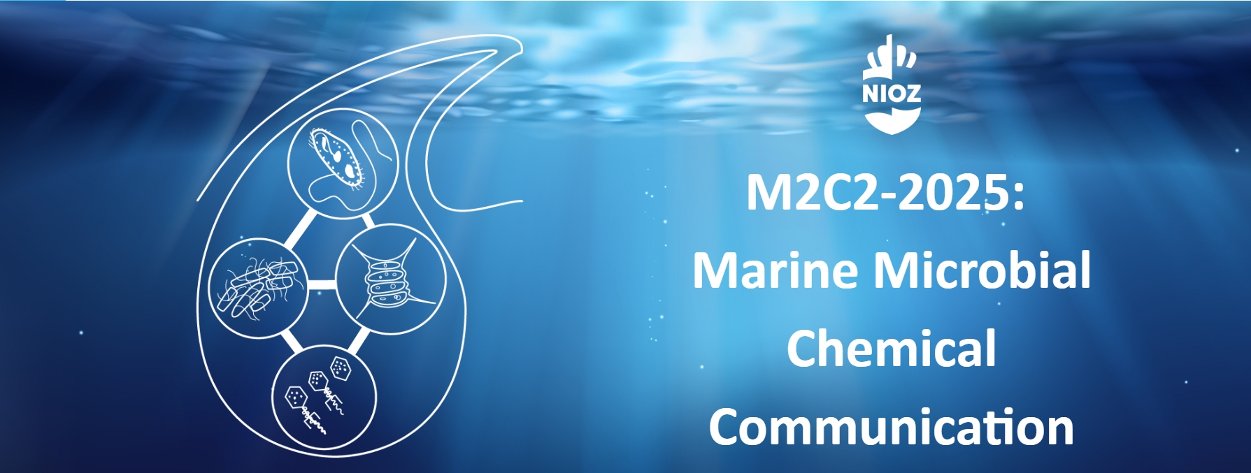 More about the Marine Microbial Chemical Communication conference 2025