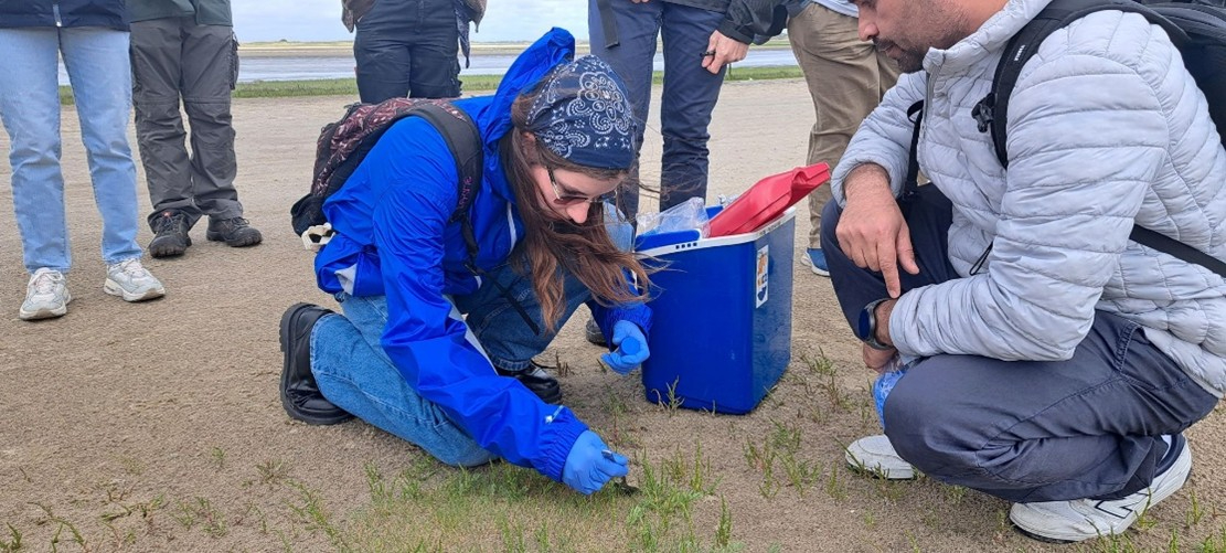 Taking a sediment sample to check for bacteria (© R. Gorniak).