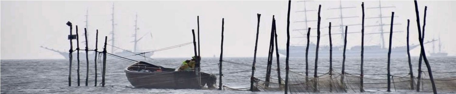 th fish trap that is dayly emptied