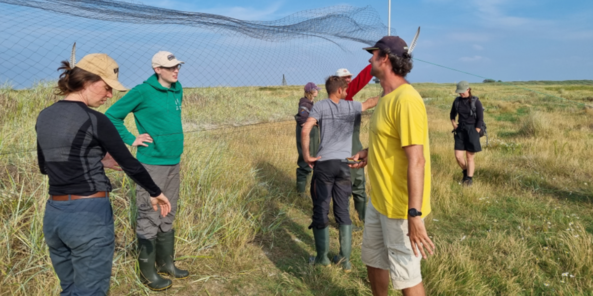 Allert Bijleveld (geel shirt) overlegt met Emma Penning (links) en Timo Keuning (groene trui) over de plaatsing van de netten (foto: Evy Gobbens)
