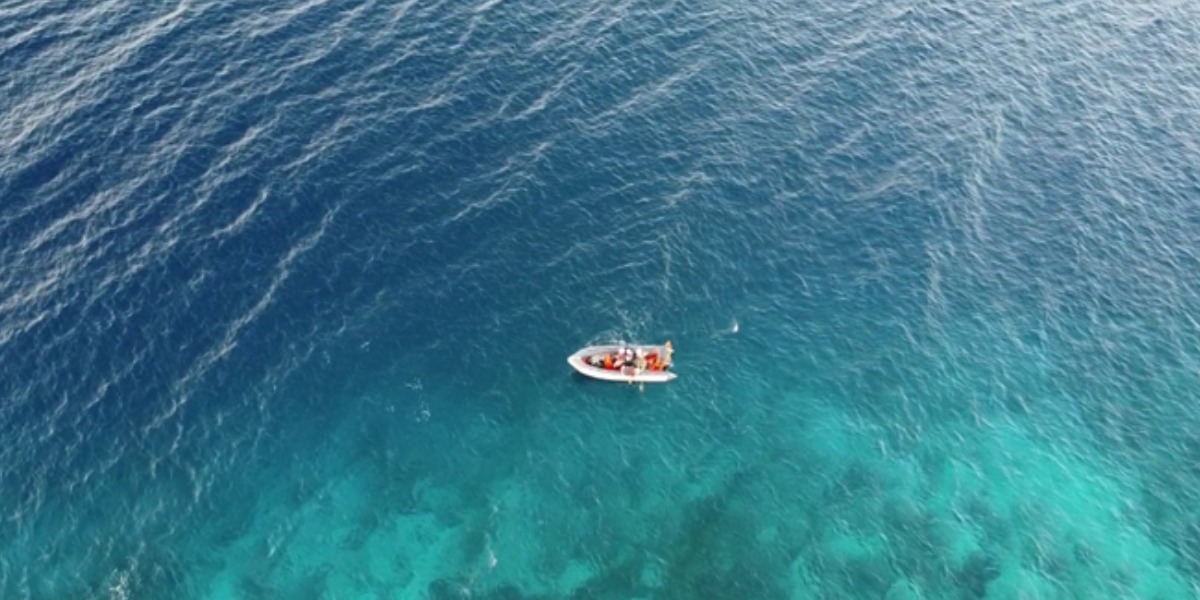 The edge of the shallow reef: where the water color changes from light to dark, there is a steep so-called ‘drop off’ (Photo: René Kramer)