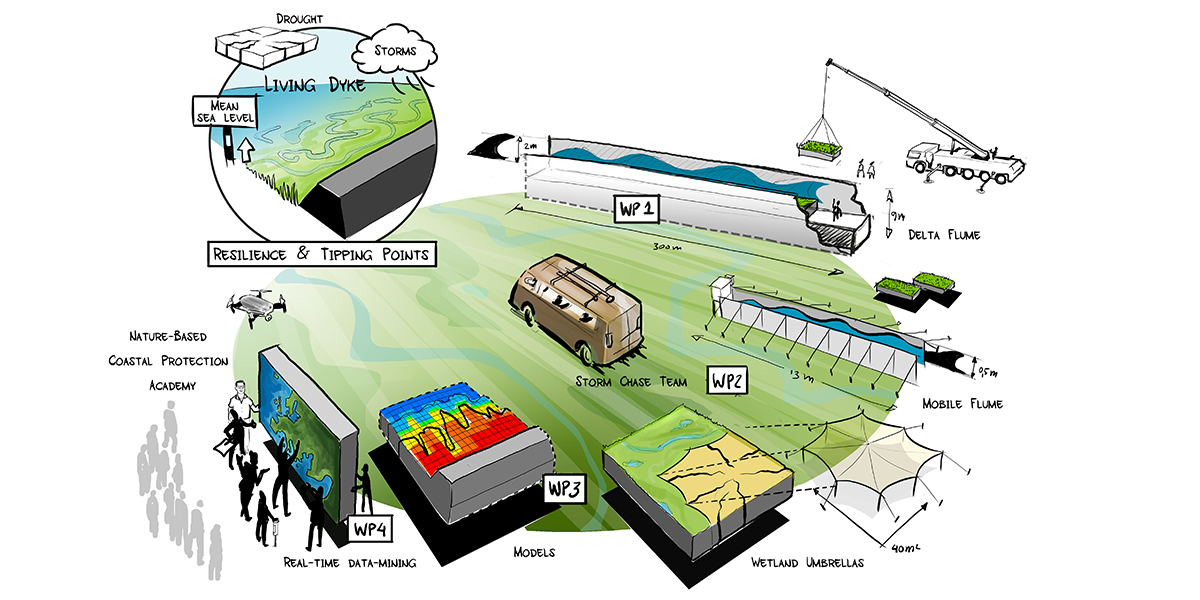 De vijf werkpakketten