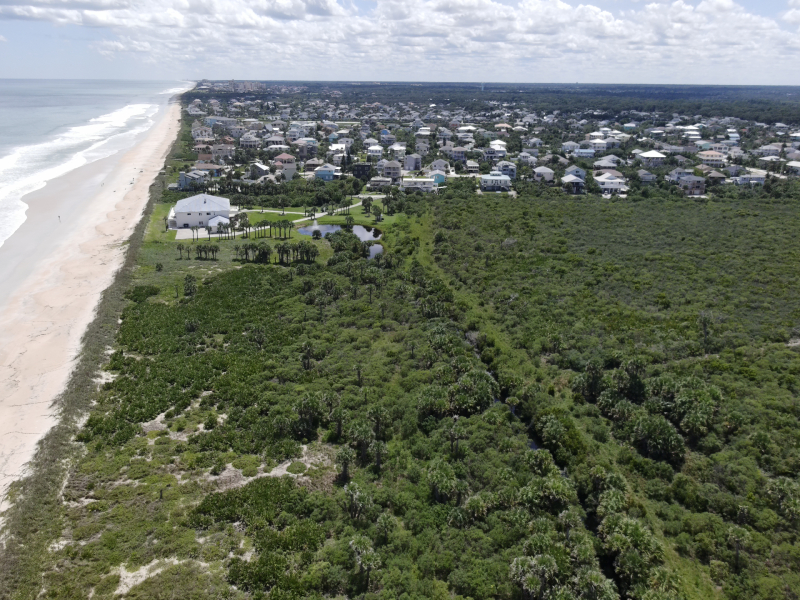 Washington Oaks Florida (USA) coastal squeeze - photo by Orlando Cordero