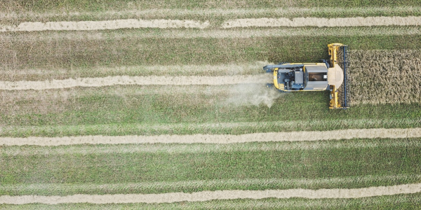 Onderzoek Extreme droogte
