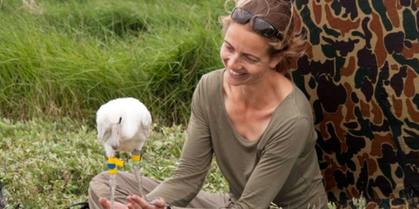 To Africa or the South of France