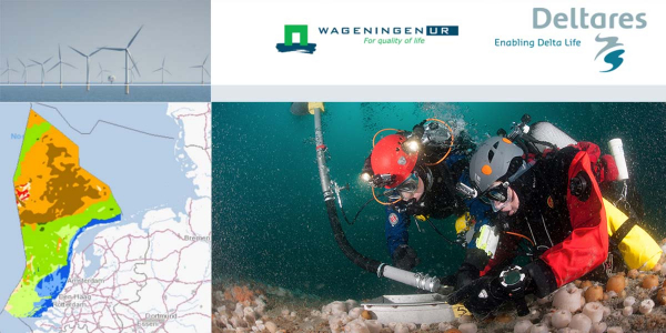 Building with North Sea nature