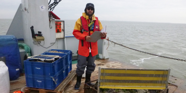 First results hard substrates test