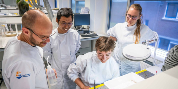 Examining benthic samples (© Stefan Krofft).