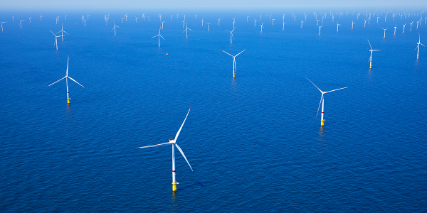 Leven rondom windpark